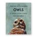 The Mincing Mockingbird Owl boxed greeting cards