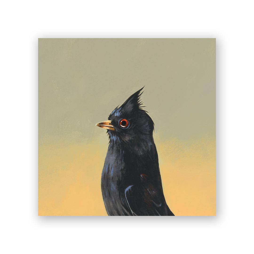Phainopepla Wood Wall Art Decor | 6x6
