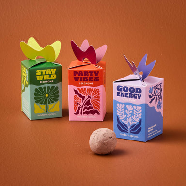 Colorful seed bomb packaging by Modern Sprout featuring three varieties: Stay Wild, Party Vibes, and Good Energy. Each box is designed with unique graphics and vibrant colors, showcasing organic and non-GMO seed options for instant garden magic.
