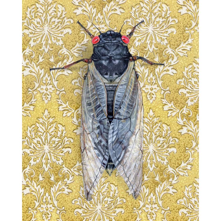 Wild Wallflowers | 17 Year Cicada Yellow