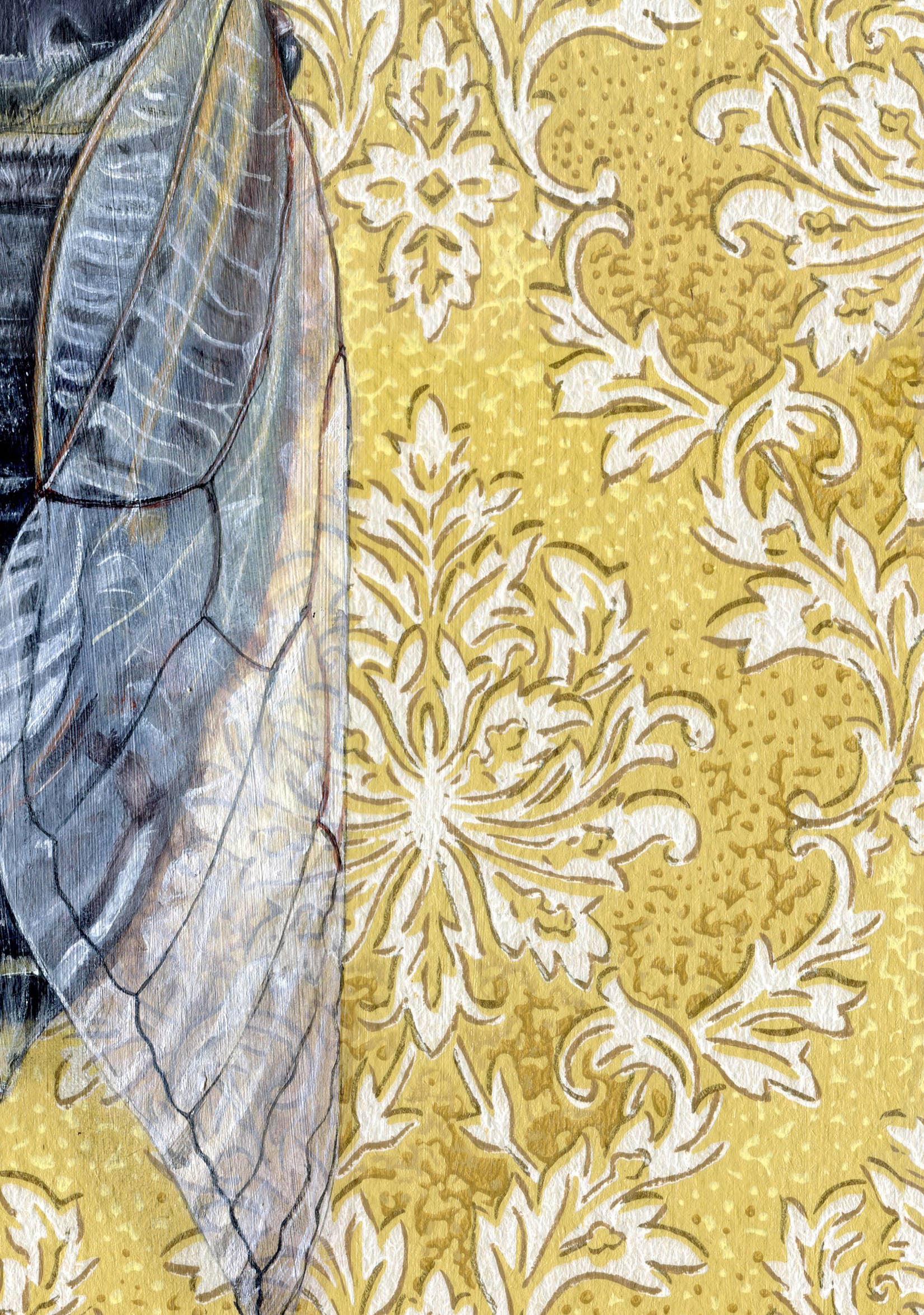 Wild Wallflowers | 17 Year Cicada Yellow