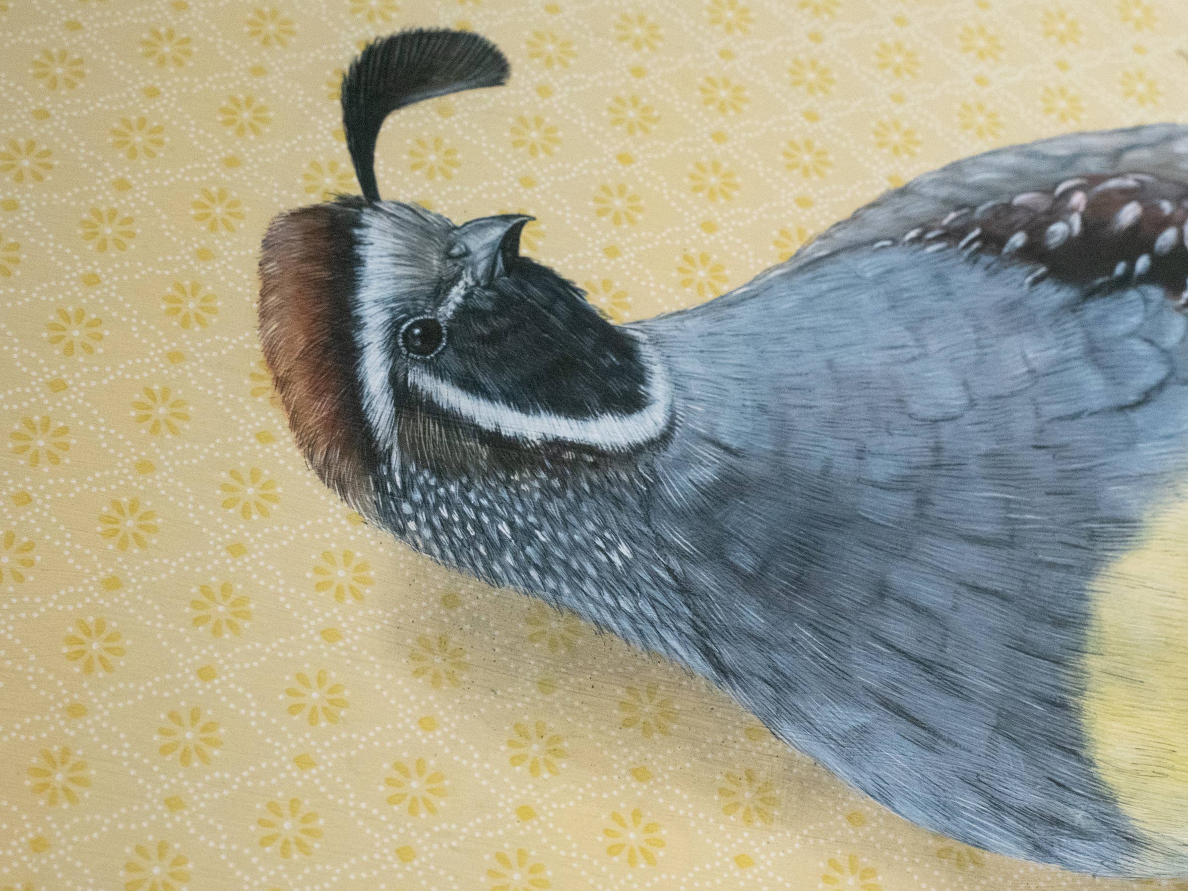 Framed art print of a quail on a yellow patterned background.