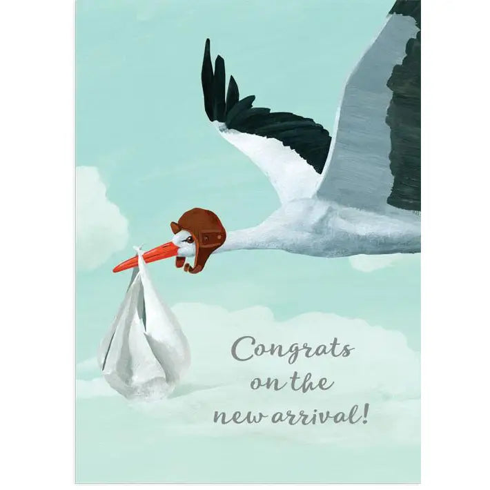 Congrats on the new arrival blank greeting card