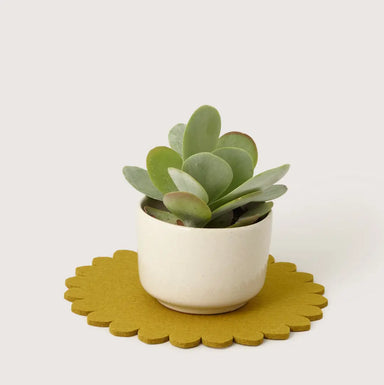 Crest Merino Wool 10" Trivet featuring Japanese floral crest patterns, combining cultural heritage and luxurious softness for a practical kitchen accessory