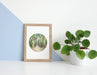 Framed artwork of a forest scene with a plant beside it.