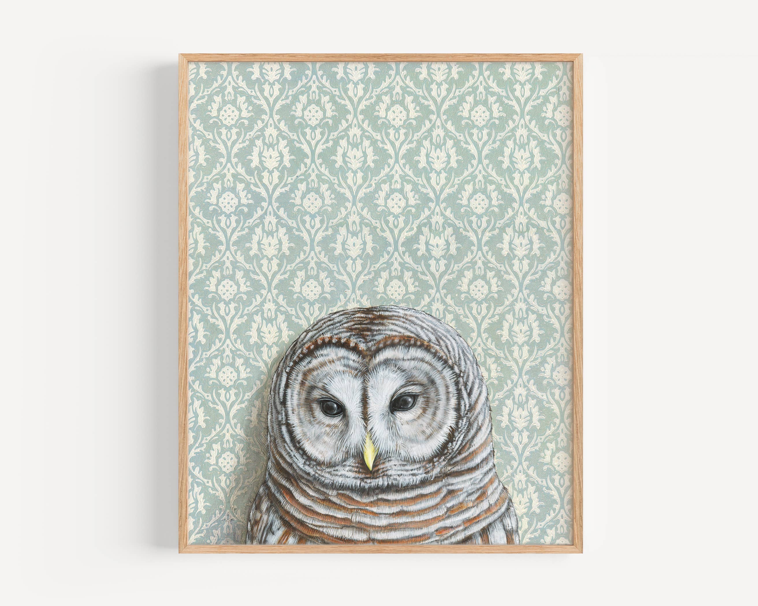 Framed Barred Owl with Light Blue wallpaper signed original