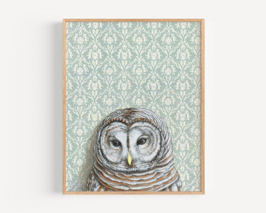 Framed Barred Owl with Light Blue wallpaper signed original