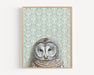 Framed Barred Owl with Light Blue wallpaper signed original