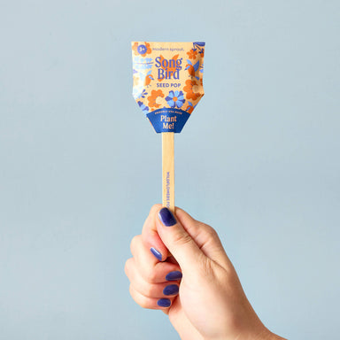 A close-up of the Song Bird seed pop by Modern Sprout, featuring vibrant floral designs and a wooden stick labeled 'Plant Me'.