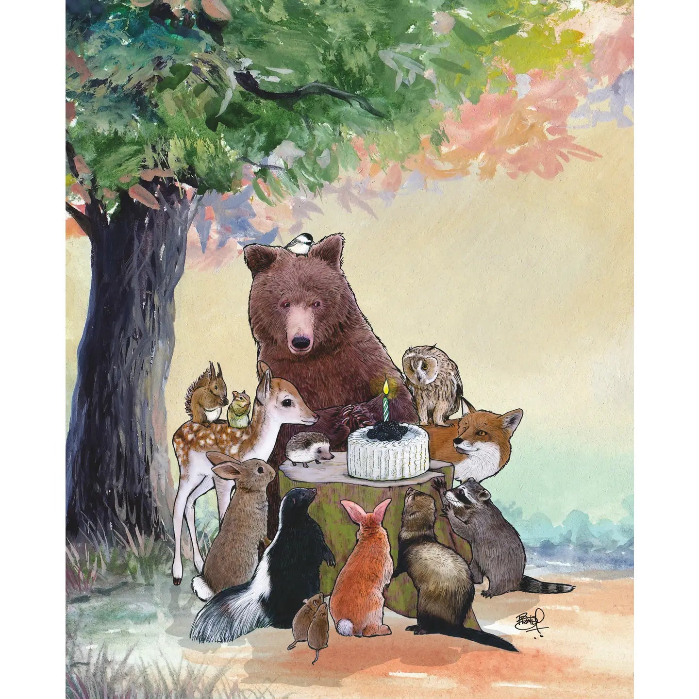 Shawn Braley Card Collection