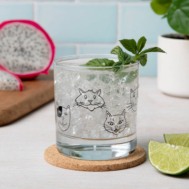 Cat Faces Rocks Glass
