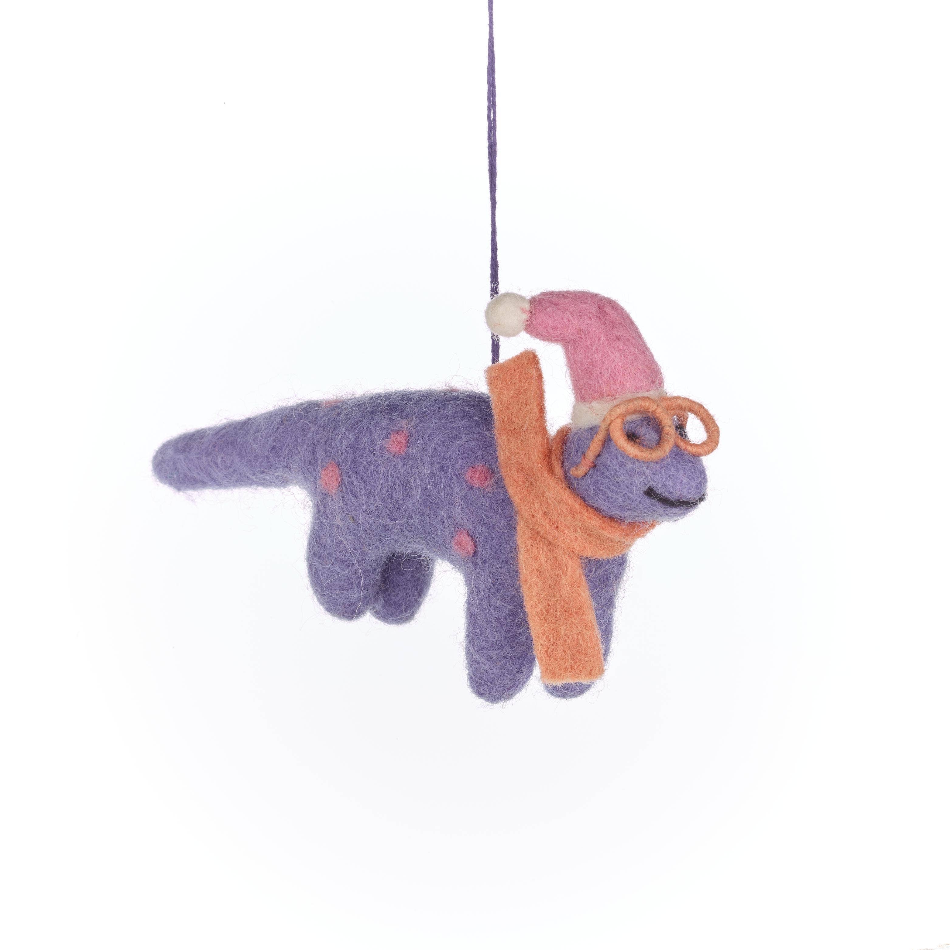 Felt Purple dinosaur ornament glasses, a pink hat and orange scarf