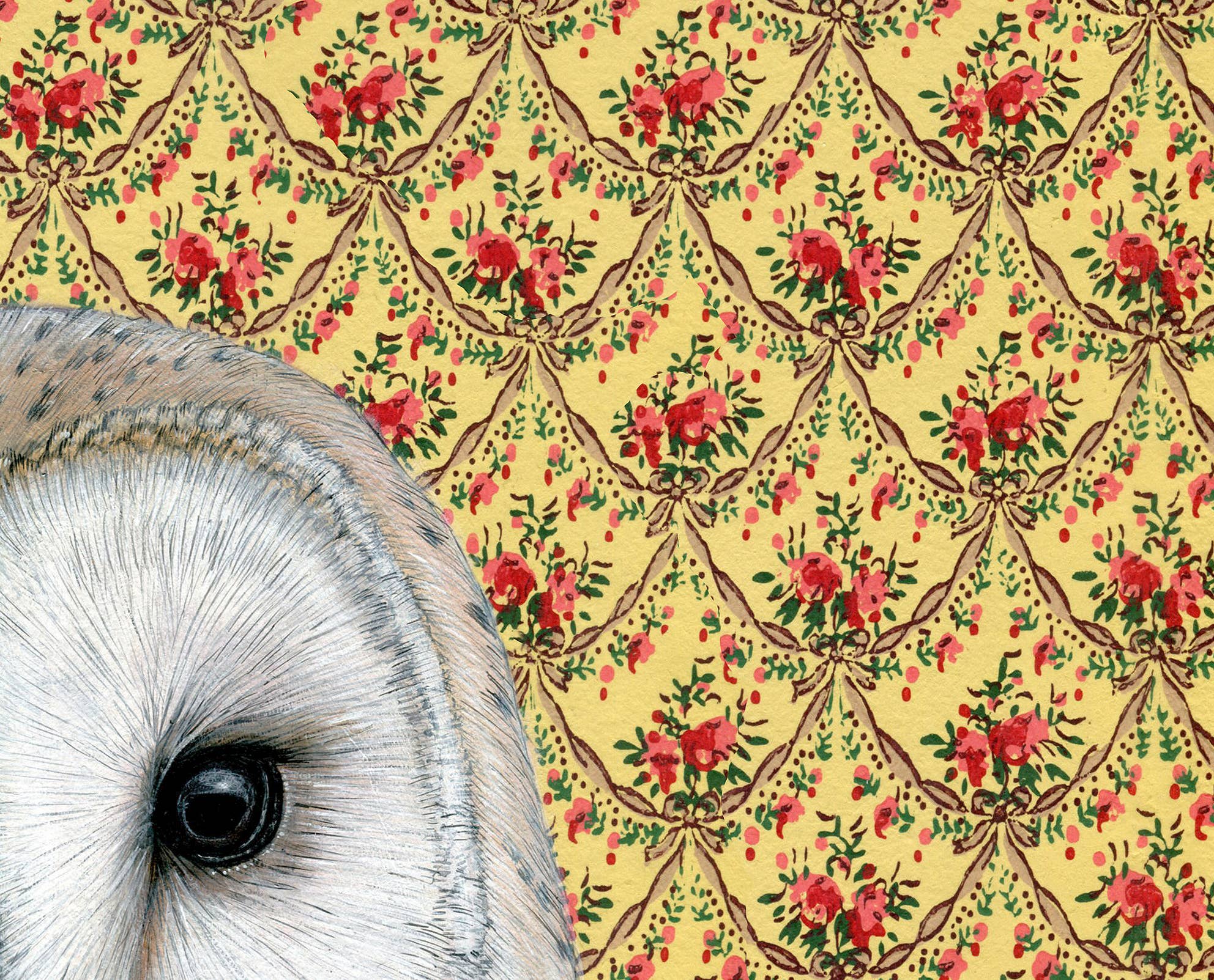 Wild Wallflowers | Barn Owl