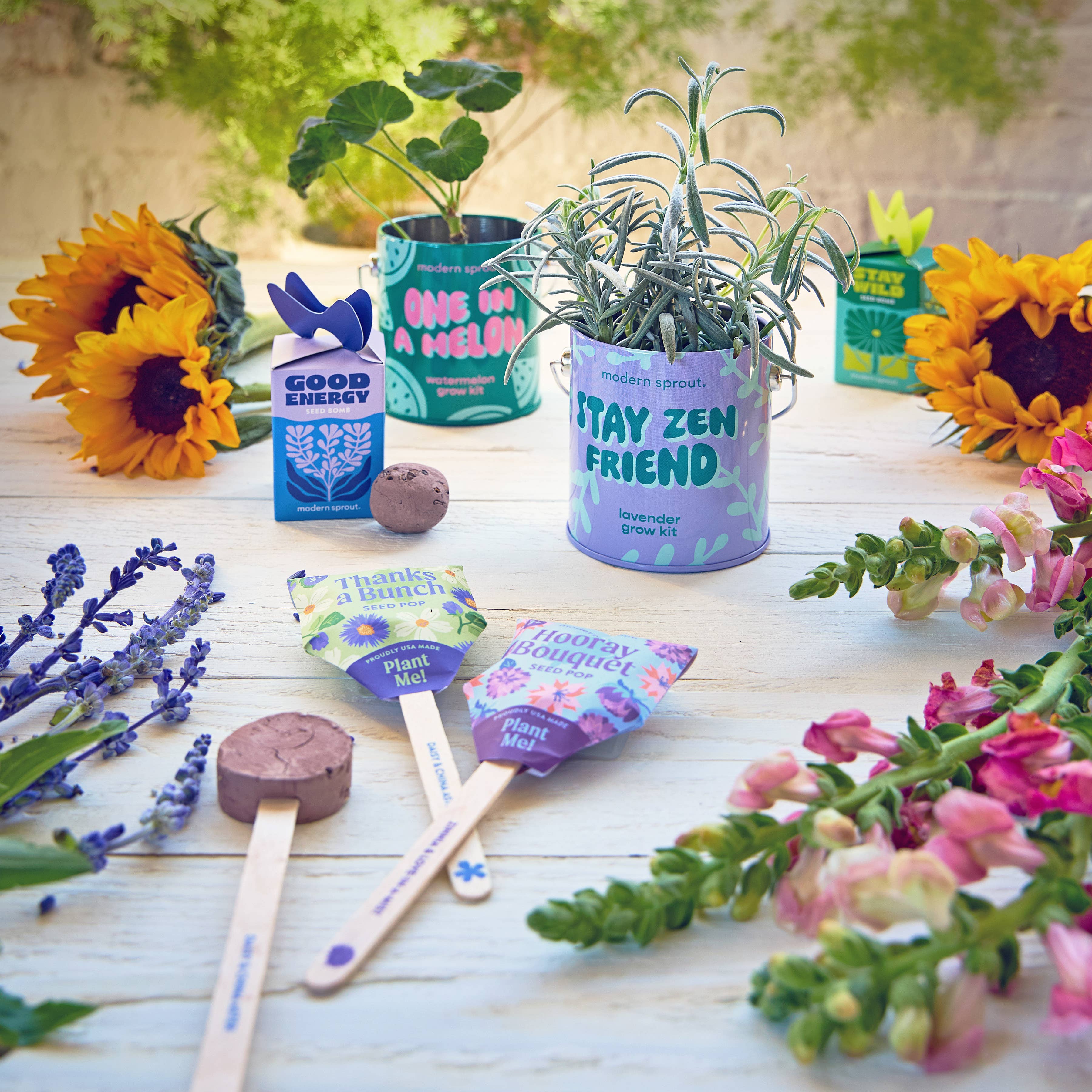 Modern Sprout Seed Bomb Refresh - A vibrant display of various seed bombs and potted plants, embodying a lively garden atmosphere.