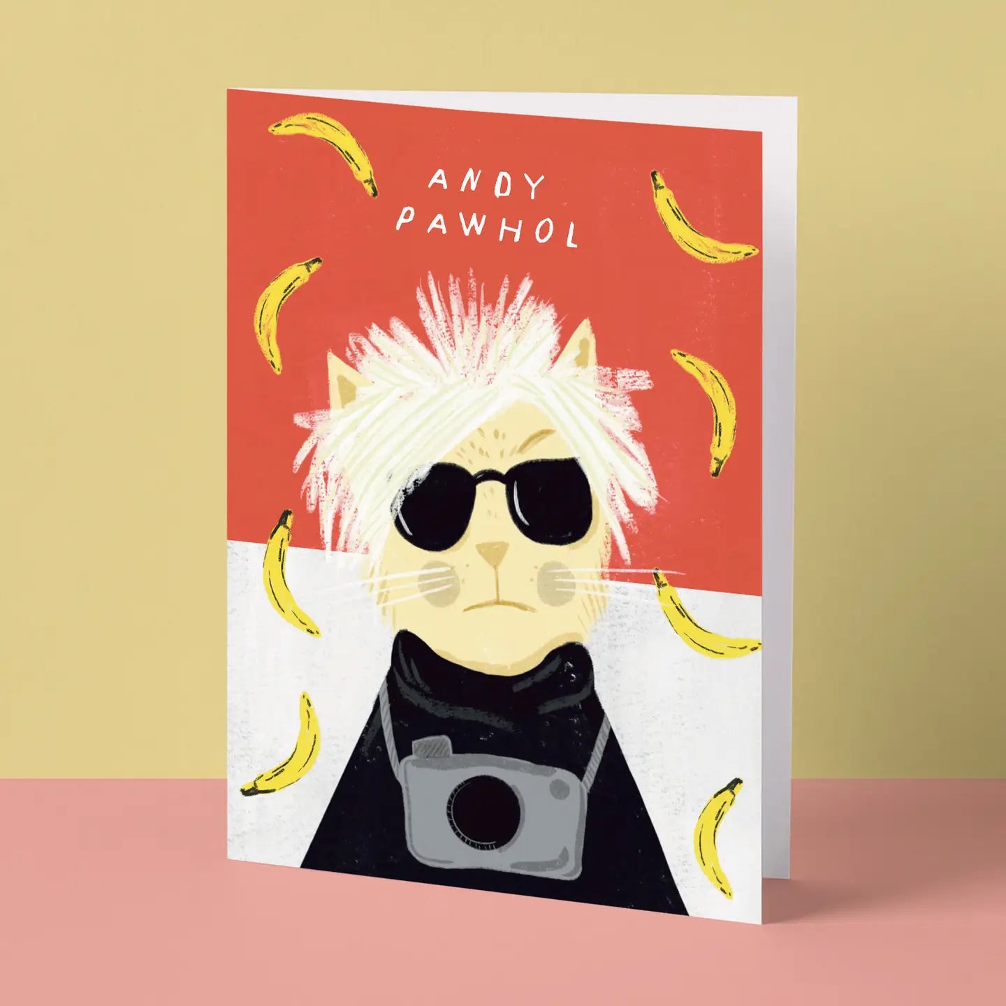 Niaski Cat Card Collection