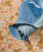 Artistic view of Bluejay fine art print by Emily Uchytil, highlighting a blue jay bird with a vivid orange and daisy background.