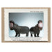 Holiday Card • Hippos Peppermints by The Memorable Image