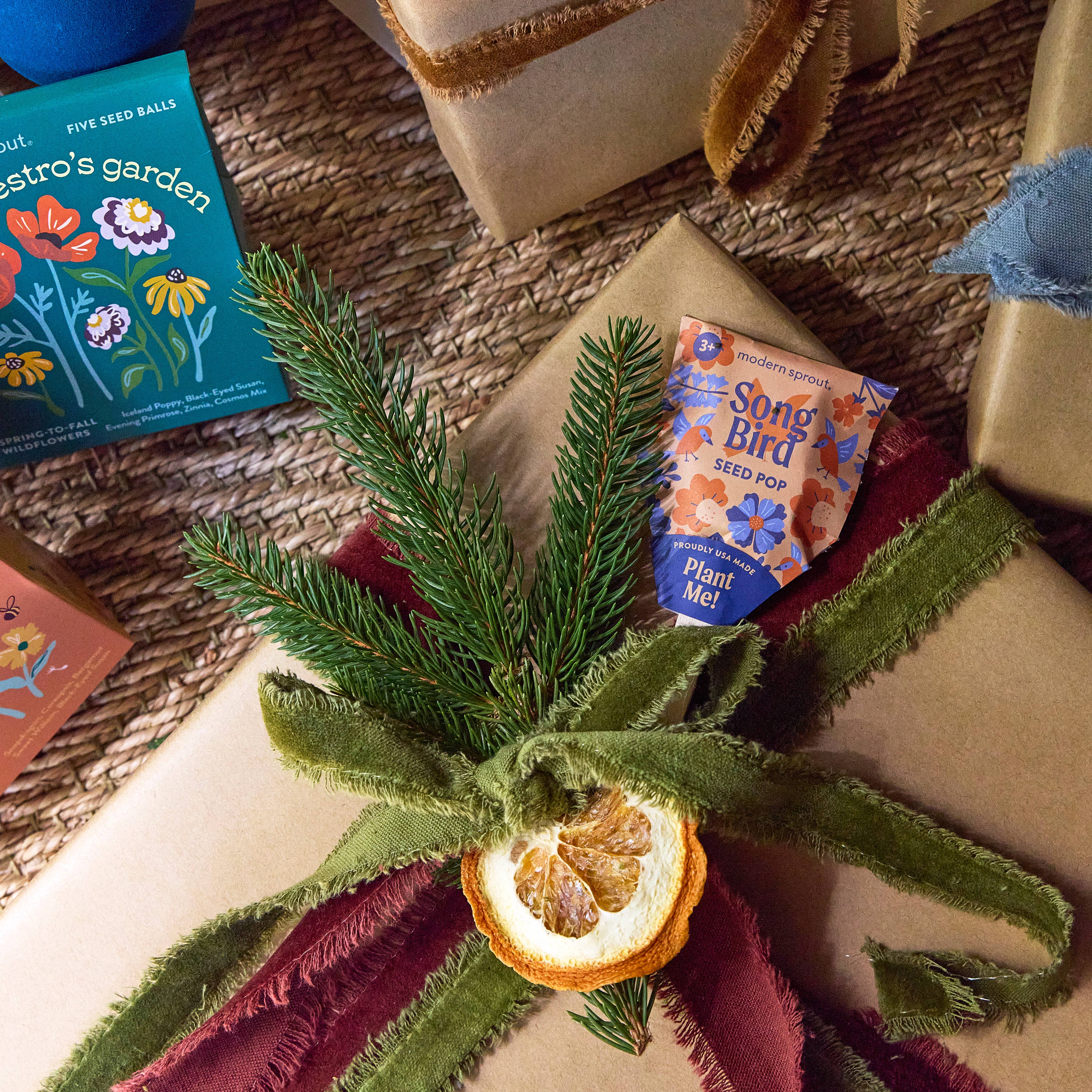 A beautifully wrapped gift featuring the Song Bird seed pop by Modern Sprout, adorned with greenery and a dried orange slice, ideal for gifting.