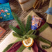 A beautifully wrapped gift featuring the Song Bird seed pop by Modern Sprout, adorned with greenery and a dried orange slice, ideal for gifting.