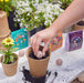 A hand placing a Bespoke Blooms seed ball into a pot filled with soil, highlighting the planting process with Modern Sprout's gardening kits in the background.
