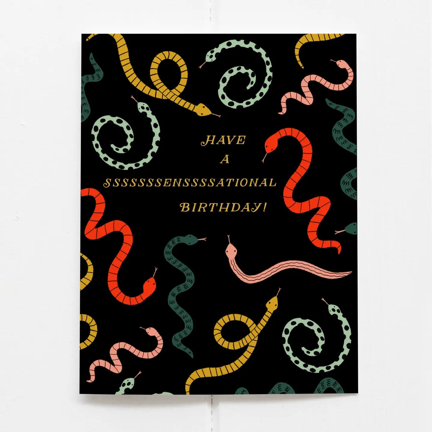 Olive & Company Card Collection showcasing beautiful color palettes and charming designs on greeting cards.