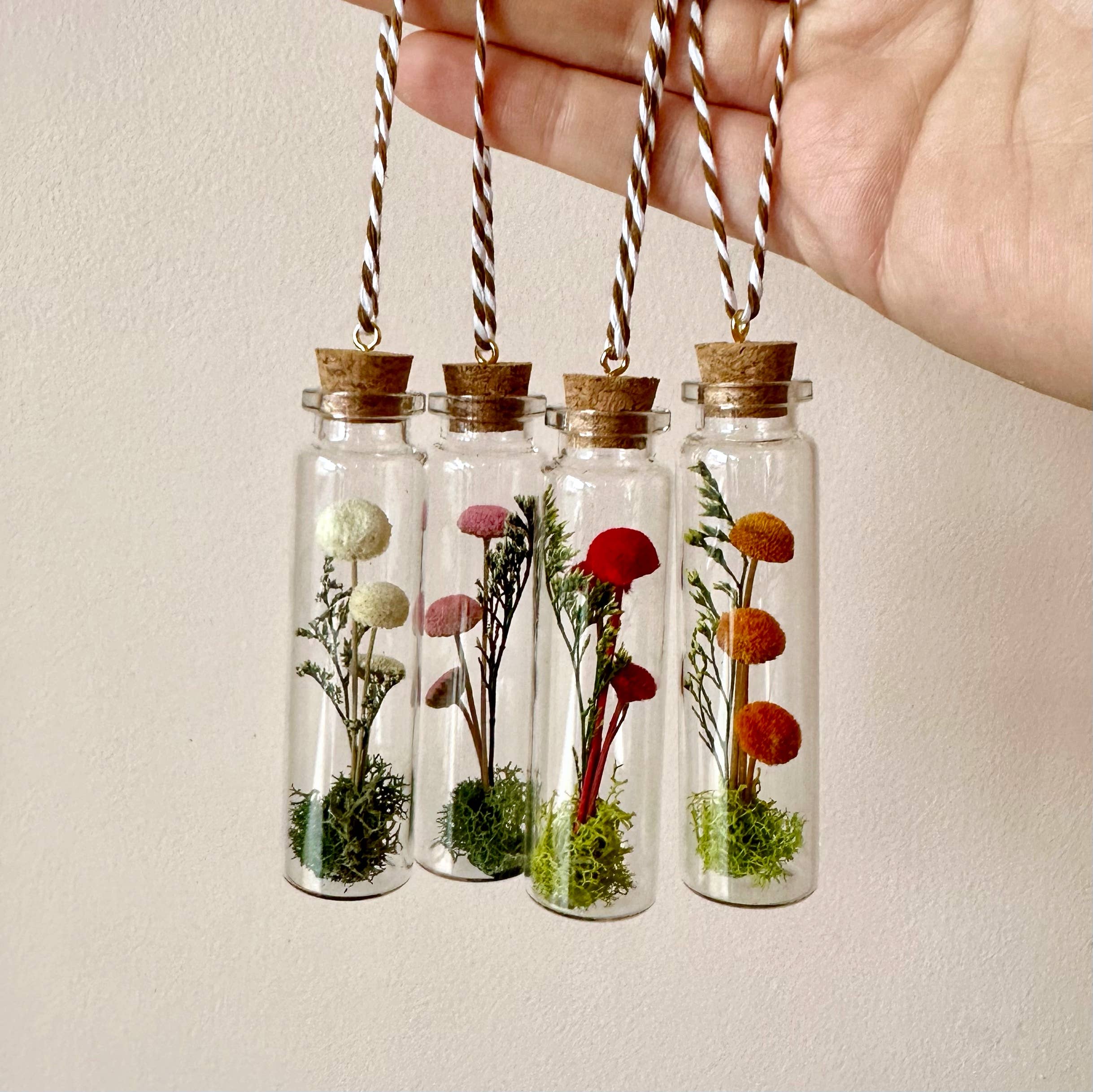 Mushroom Terrarium