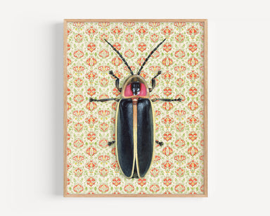 Goliath Beetle fine art print by Emily Uchytil featuring an intricate insect illustration against a vintage floral wallpaper background.