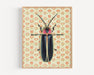Goliath Beetle fine art print by Emily Uchytil featuring an intricate insect illustration against a vintage floral wallpaper background.