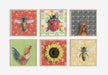 A collage of framed illustrations featuring farm animals, including a chicken, created by Emily Uchytil, as part of the Chicken - Fine Art Print - Farm Animal Illustration series.
