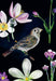 Beautiful depiction of a bird surrounded by flowers, part of 'Bird Box | 100 Postcards by 10 Artists' collection by Chronicle Books.