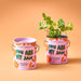 Modern Sprout Complimentary Color Grow Kits - Strawberry Grow Kit presented in a charming pink paint can with strawberry graphics and growing plants.