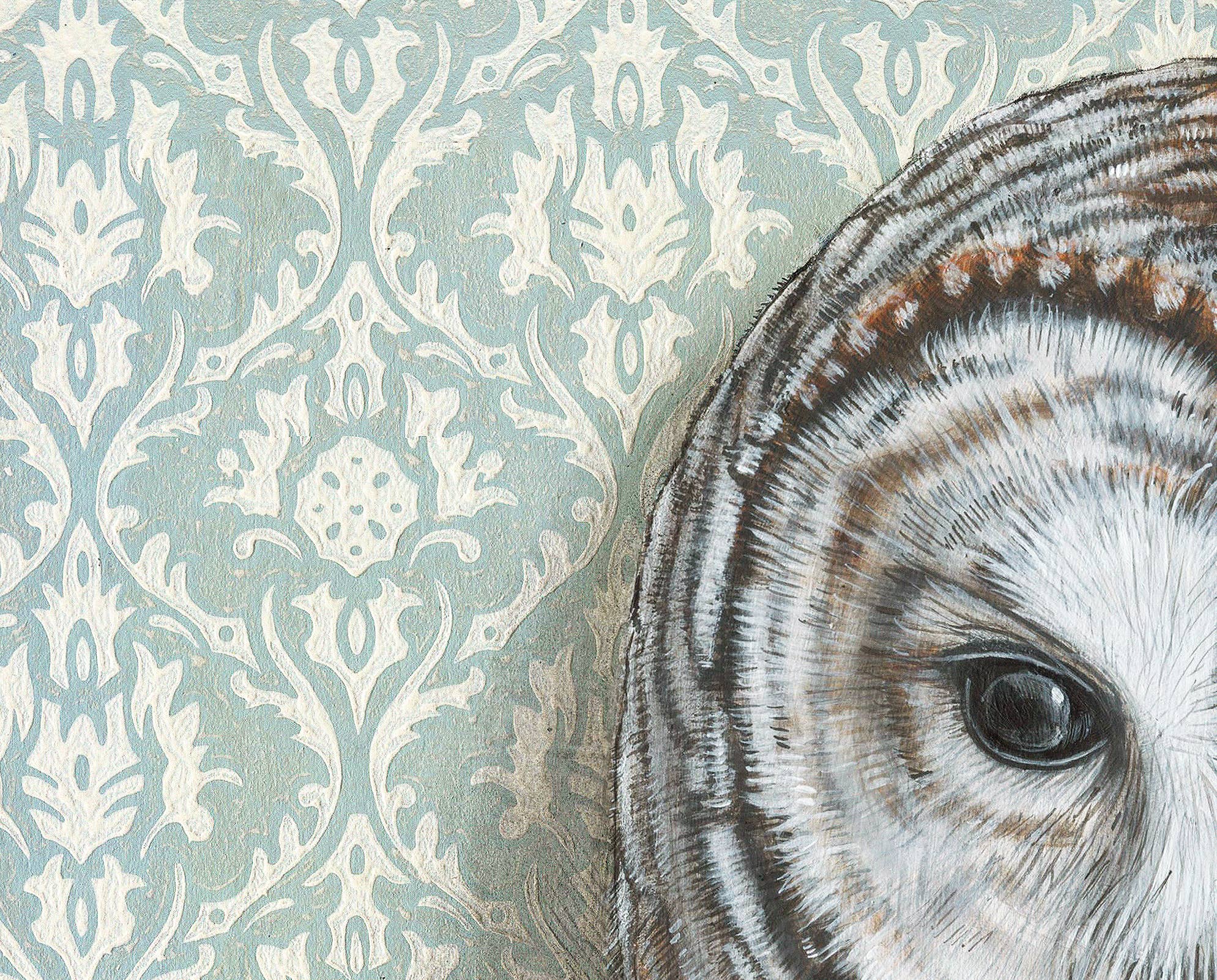 Framed Barred Owl with Light Blue wallpaper signed original