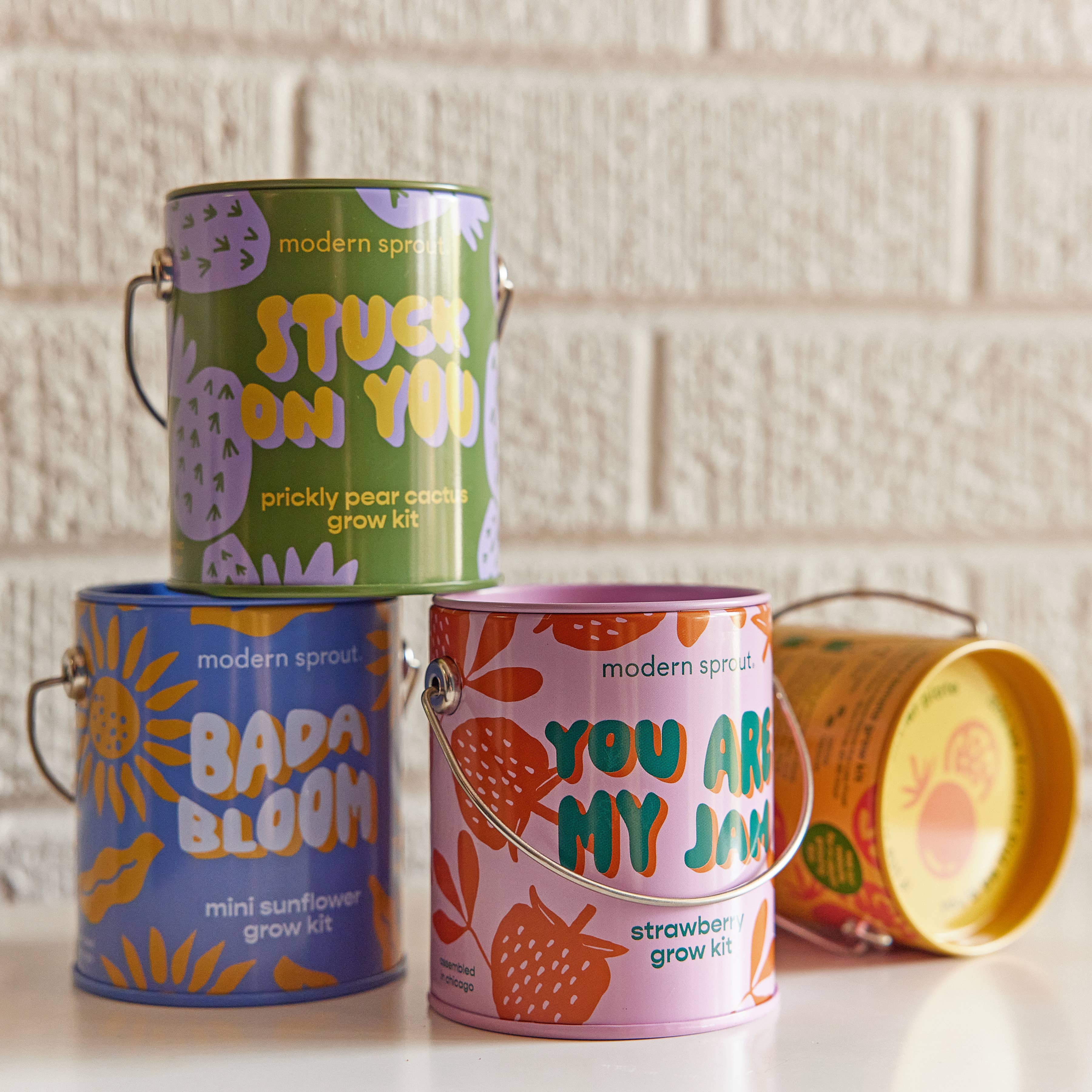 Four different grow kits from Modern Sprout, including Prickly Pear Cactus, Mini Sunflower, and Strawberry, showcasing playful designs on canisters for an attractive gardening experience with complimentary color grow kits.