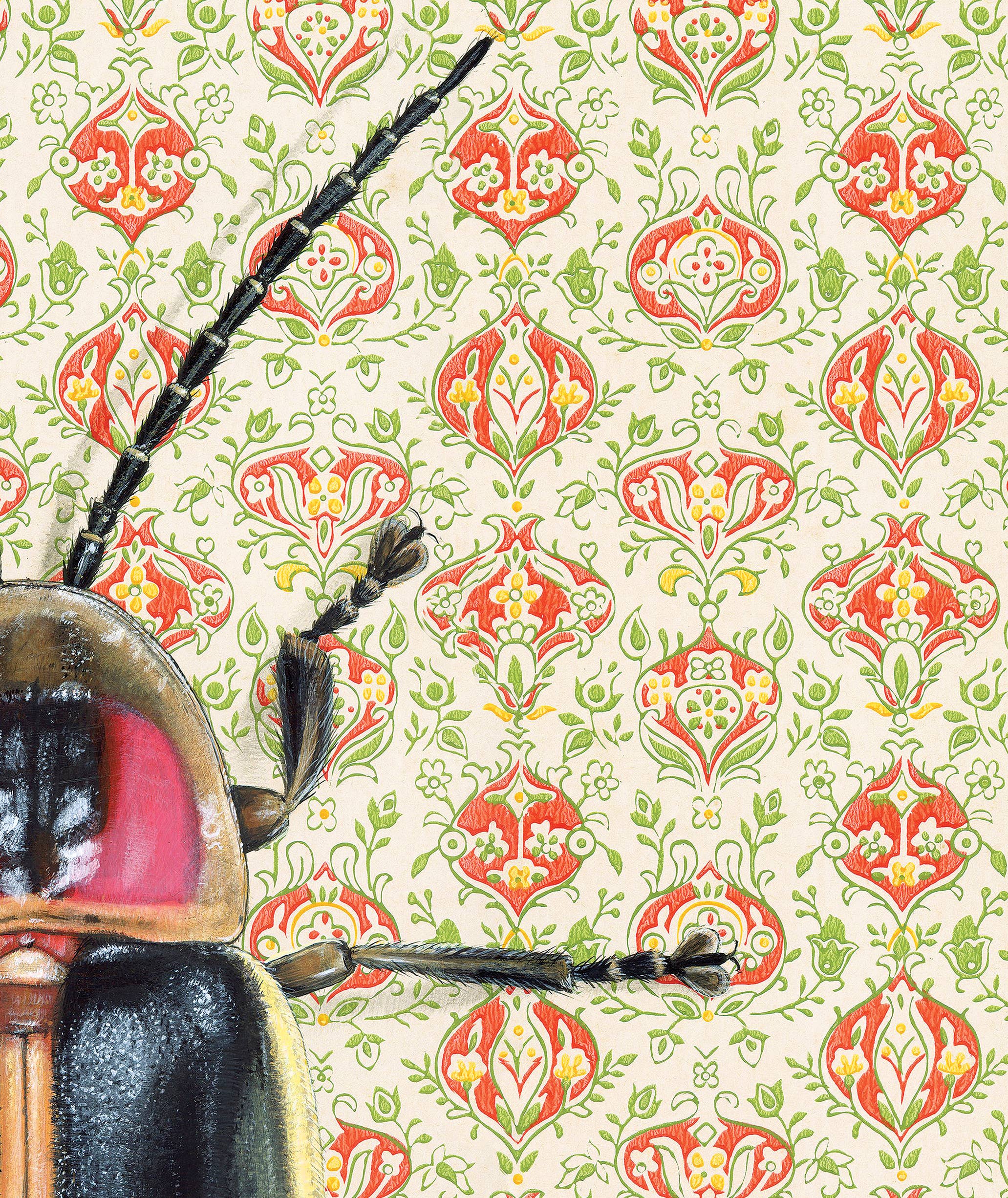 Close-up of a Goliath Beetle illustration by Emily Uchytil, highlighting the insect's features and decorative floral backdrop.