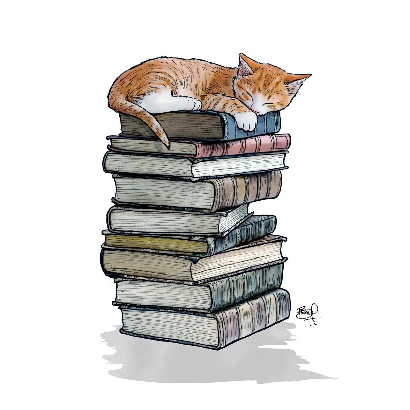 Shawn Braley Card Collection