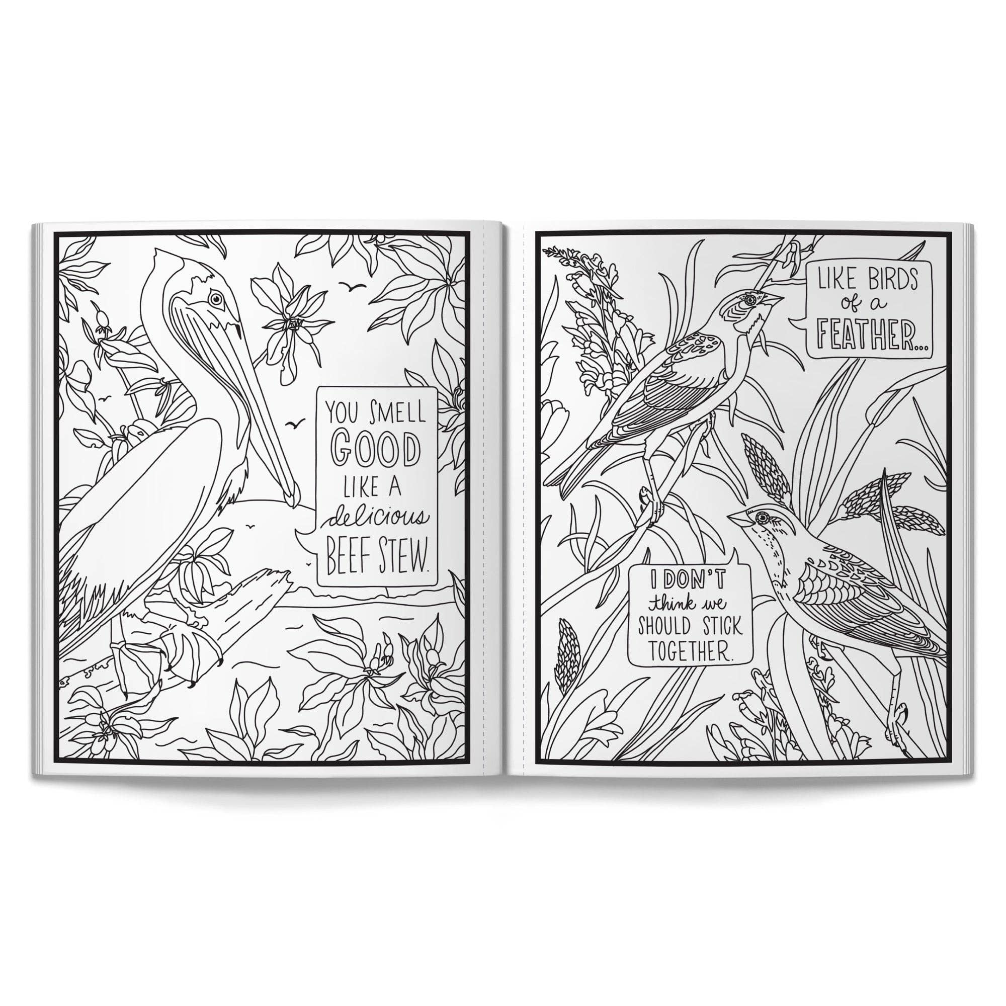 Coloring page from the Brass Monkey Salty Birds Coloring Book by Chronicle Books, showcasing a pelican and songbirds with humorous quotes amidst floral designs.