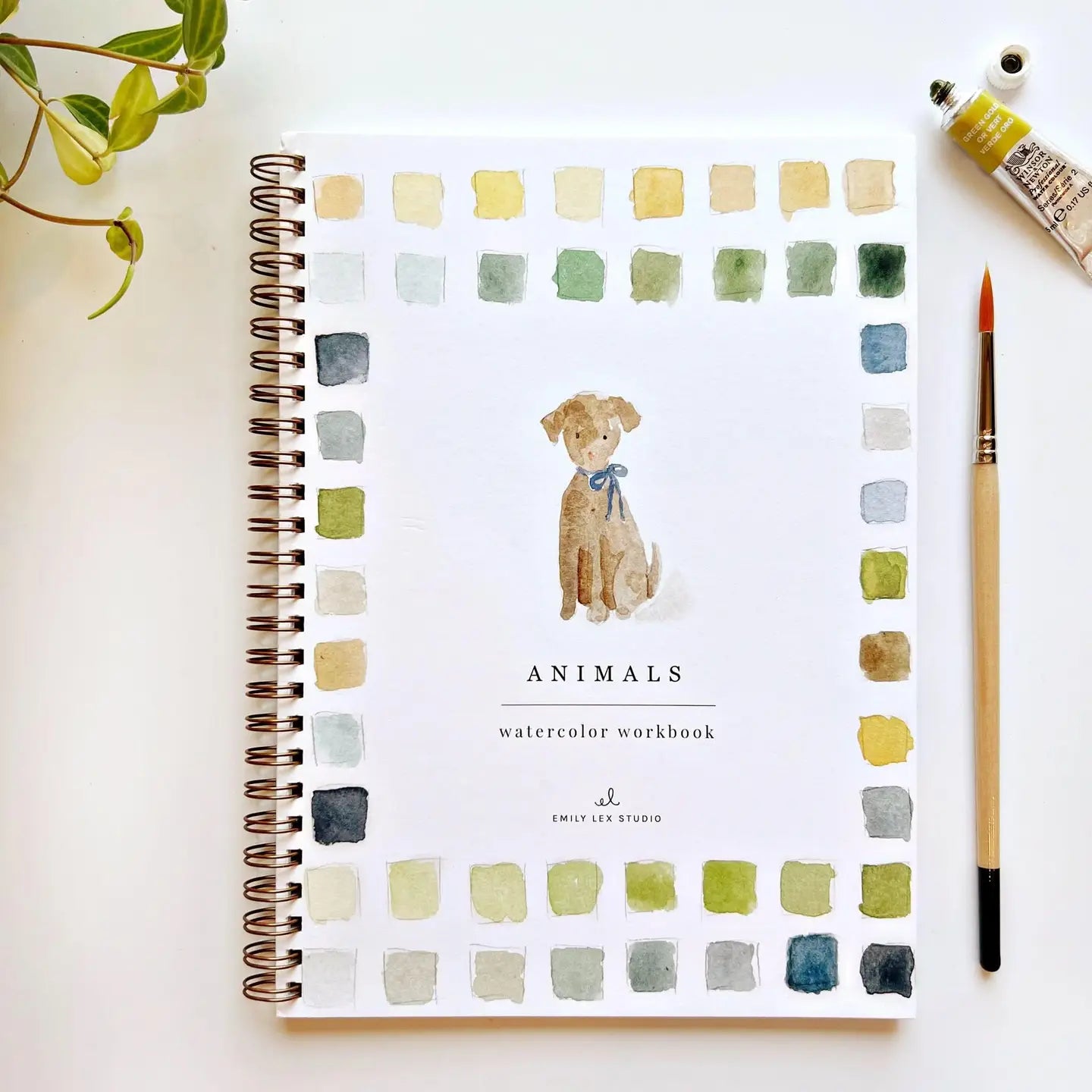The Watercolor Workbooks by Emily Lex: A fun-filled painting adventure for kids and grown-ups alike, featuring charming outlined sketches ready to transform into colorful masterpieces!