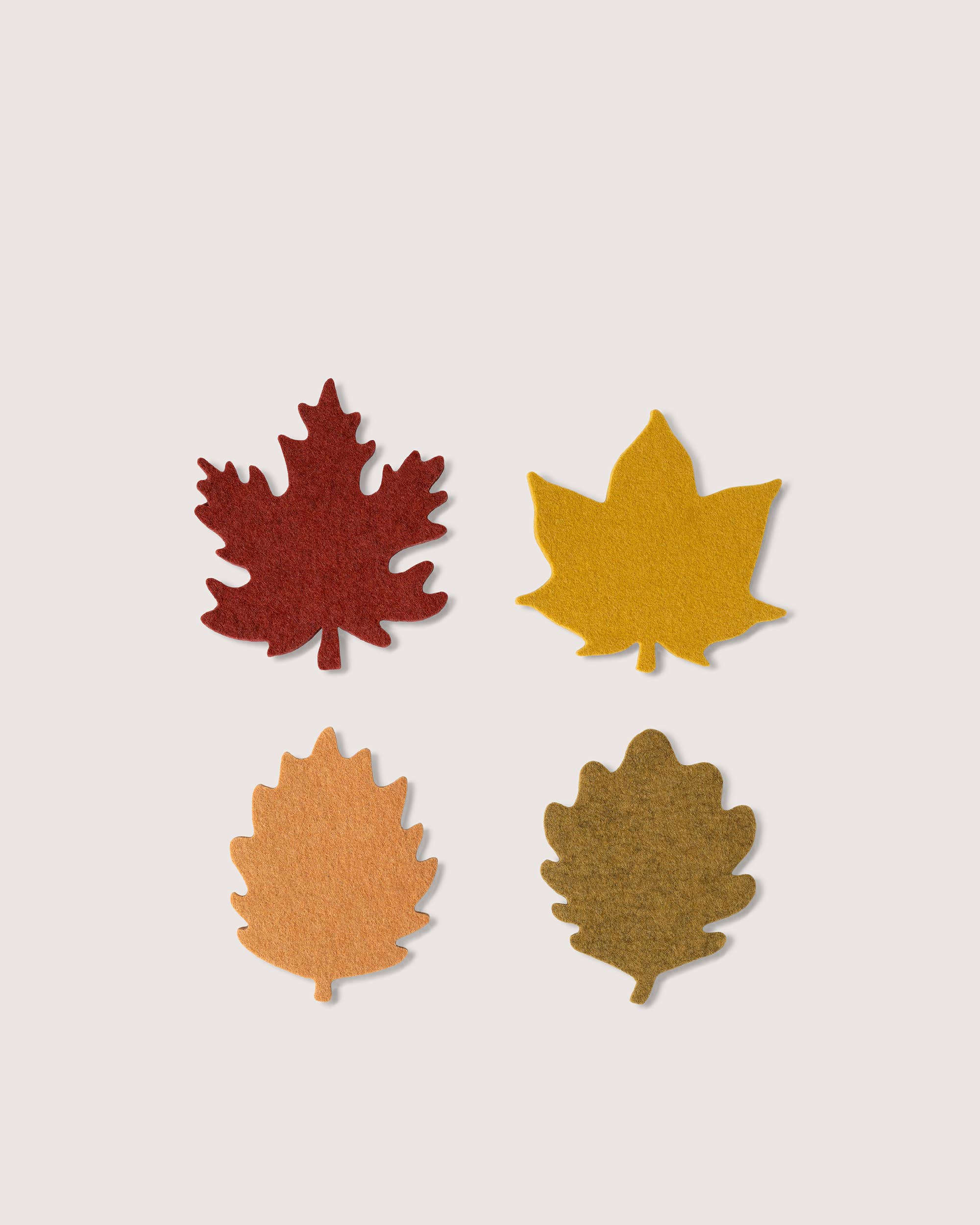 Autumn Leaf Coaster | Set of 4 Multicolor