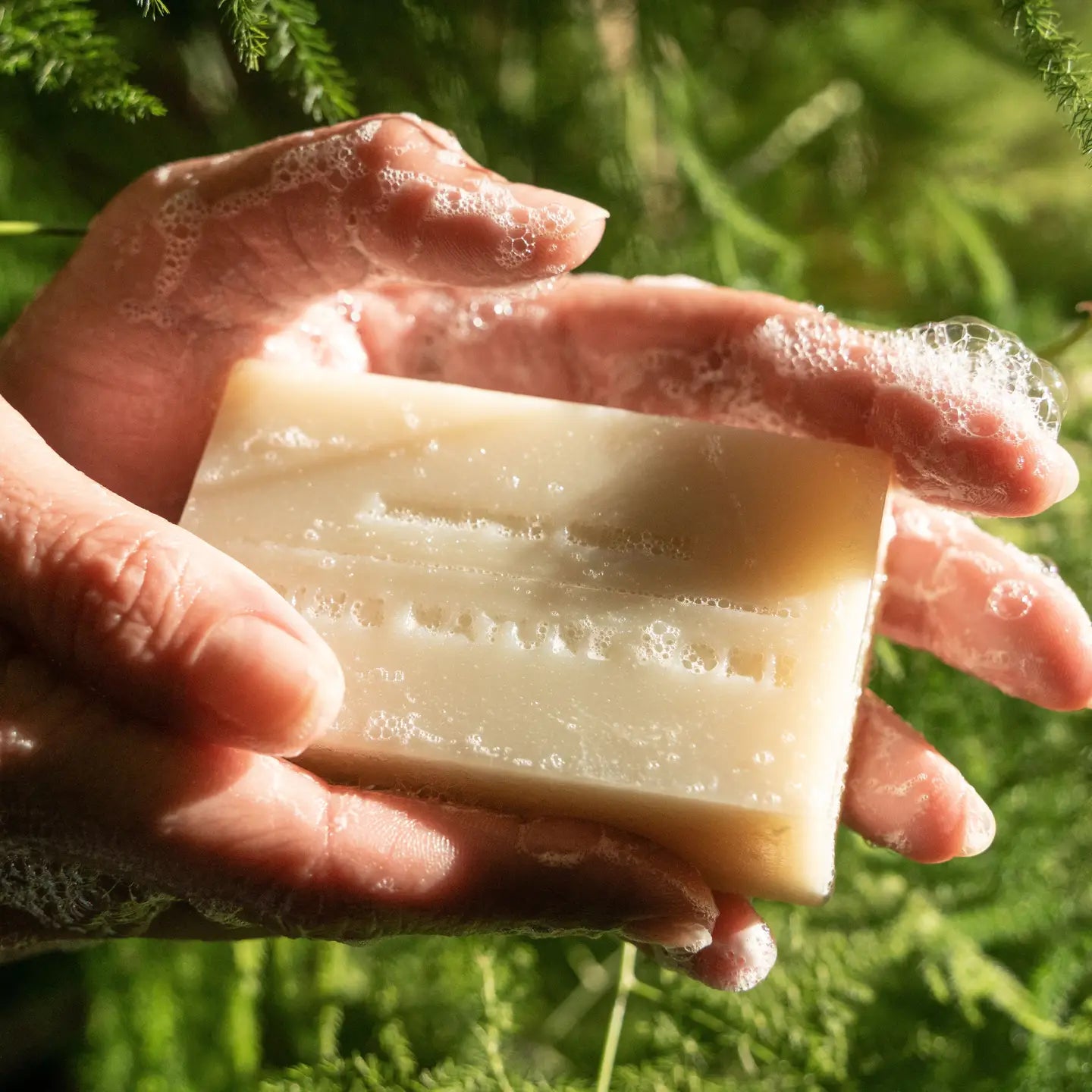 Juniper Ridge Organic Vegan Bar Soaps