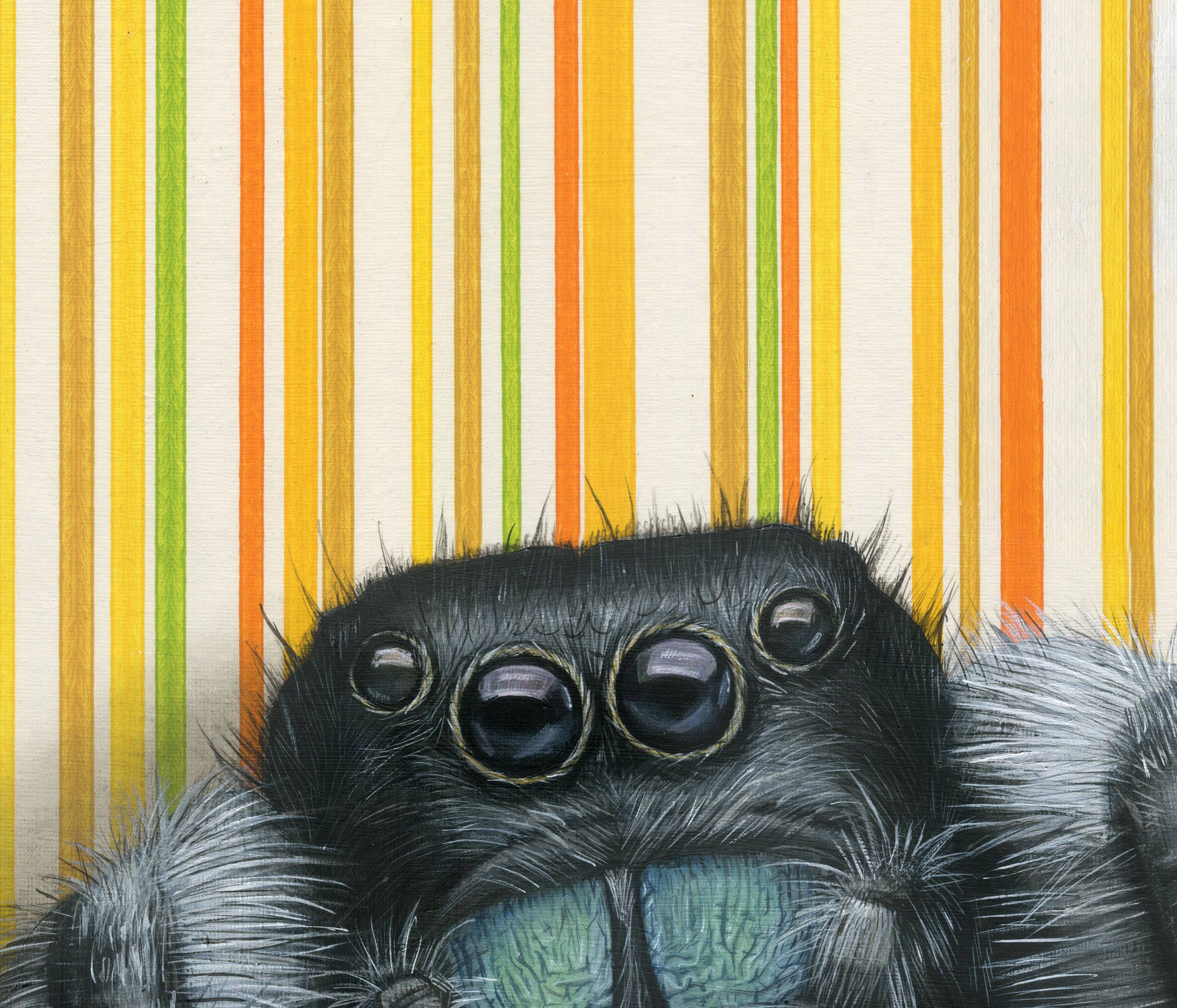 Jumping Spider - Fine Art Print depicts a fun insect illustration that is sure to tickle the fancy of both art lovers and arachnophobes alike.