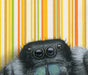 Jumping Spider - Fine Art Print depicts a fun insect illustration that is sure to tickle the fancy of both art lovers and arachnophobes alike.