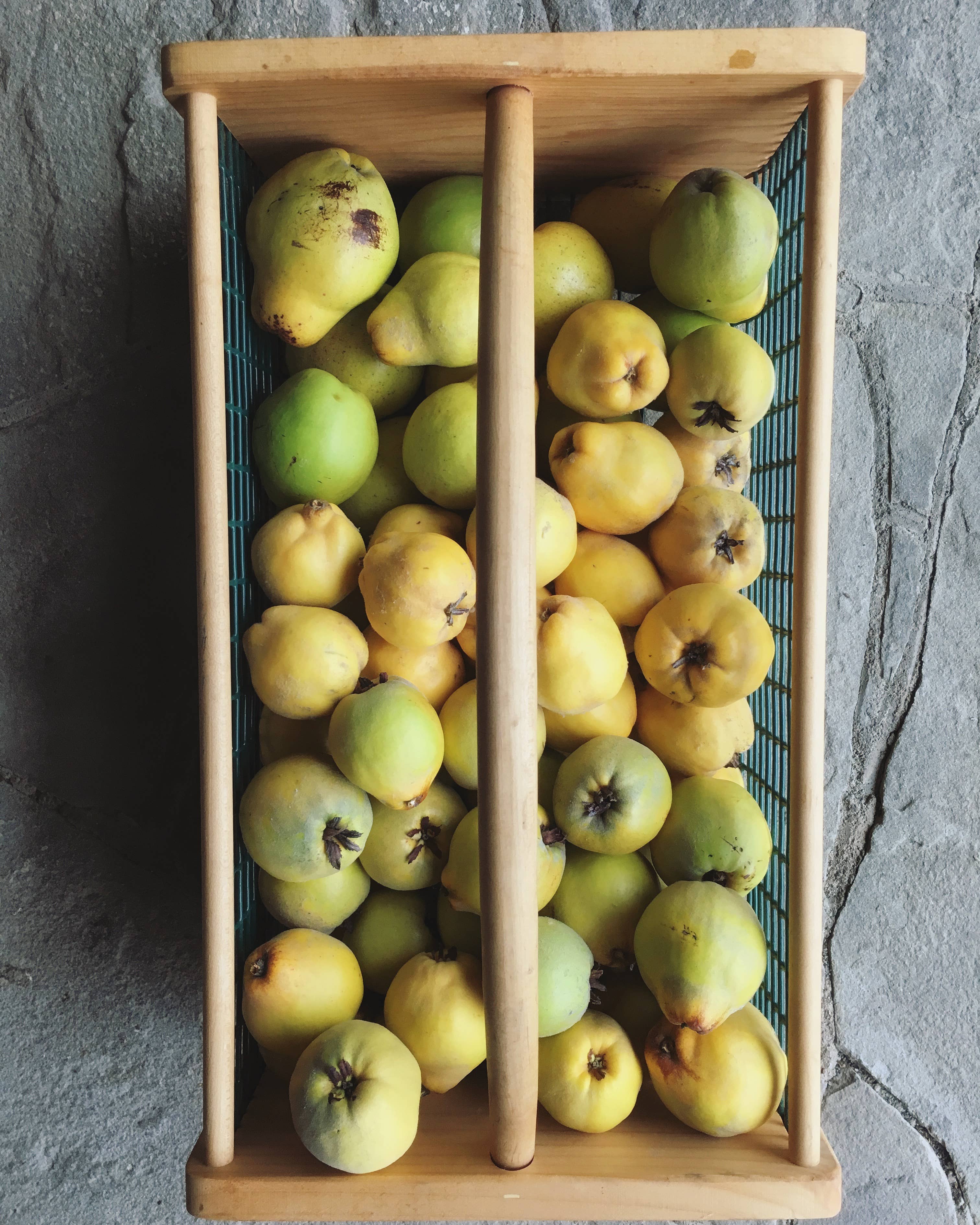 Quince Marmalade Spoon Preserves