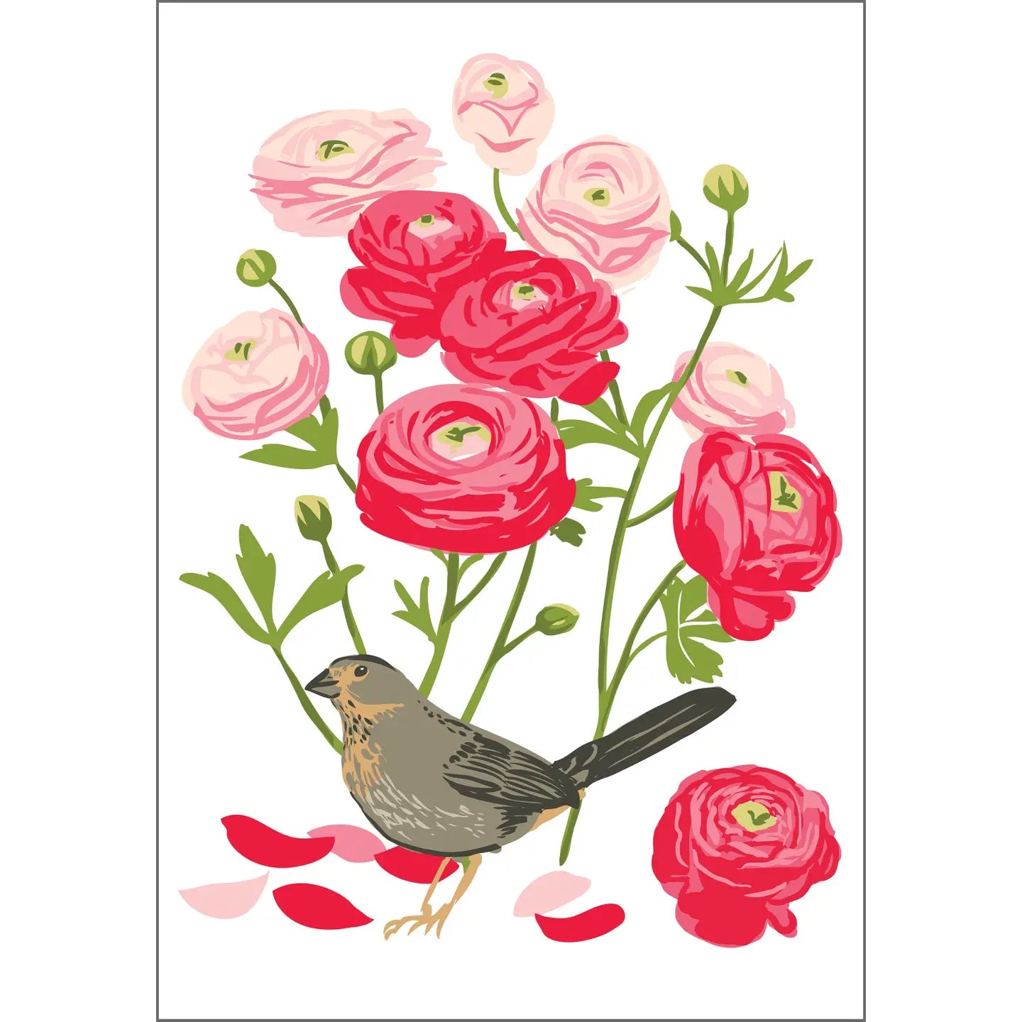 Rigel Stuhmiller Card Collection