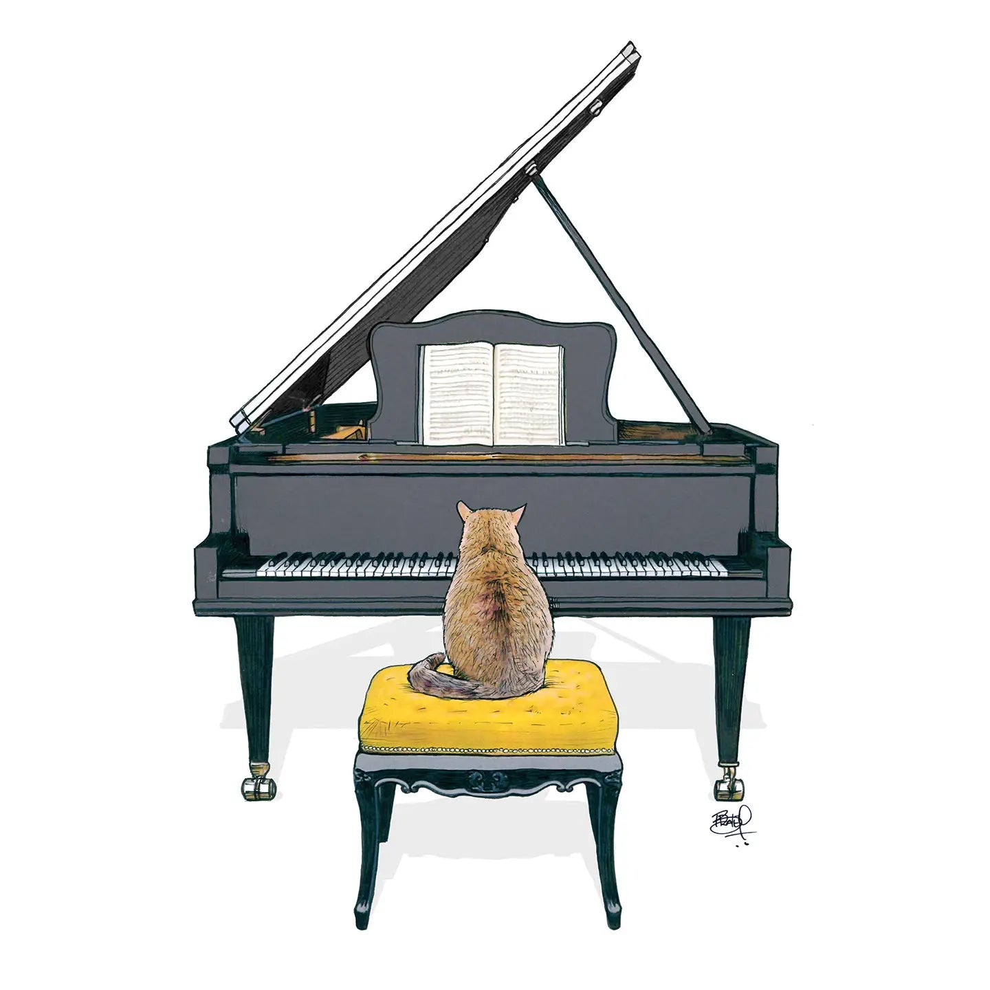 Shawn Braley Card Collection