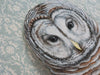 Framed Barred Owl with Light Blue wallpaper signed original