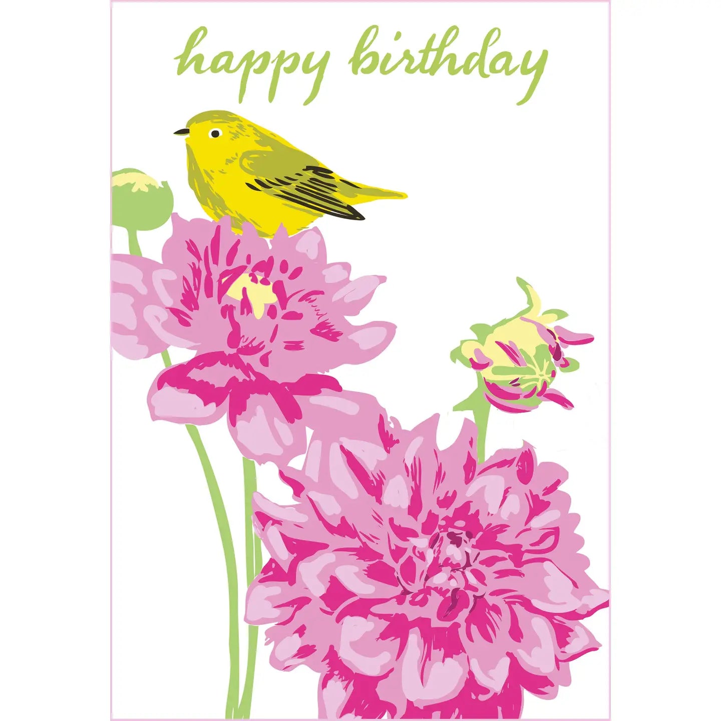 Rigel Stuhmiller Card Collection