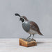 painted quail on wood stump