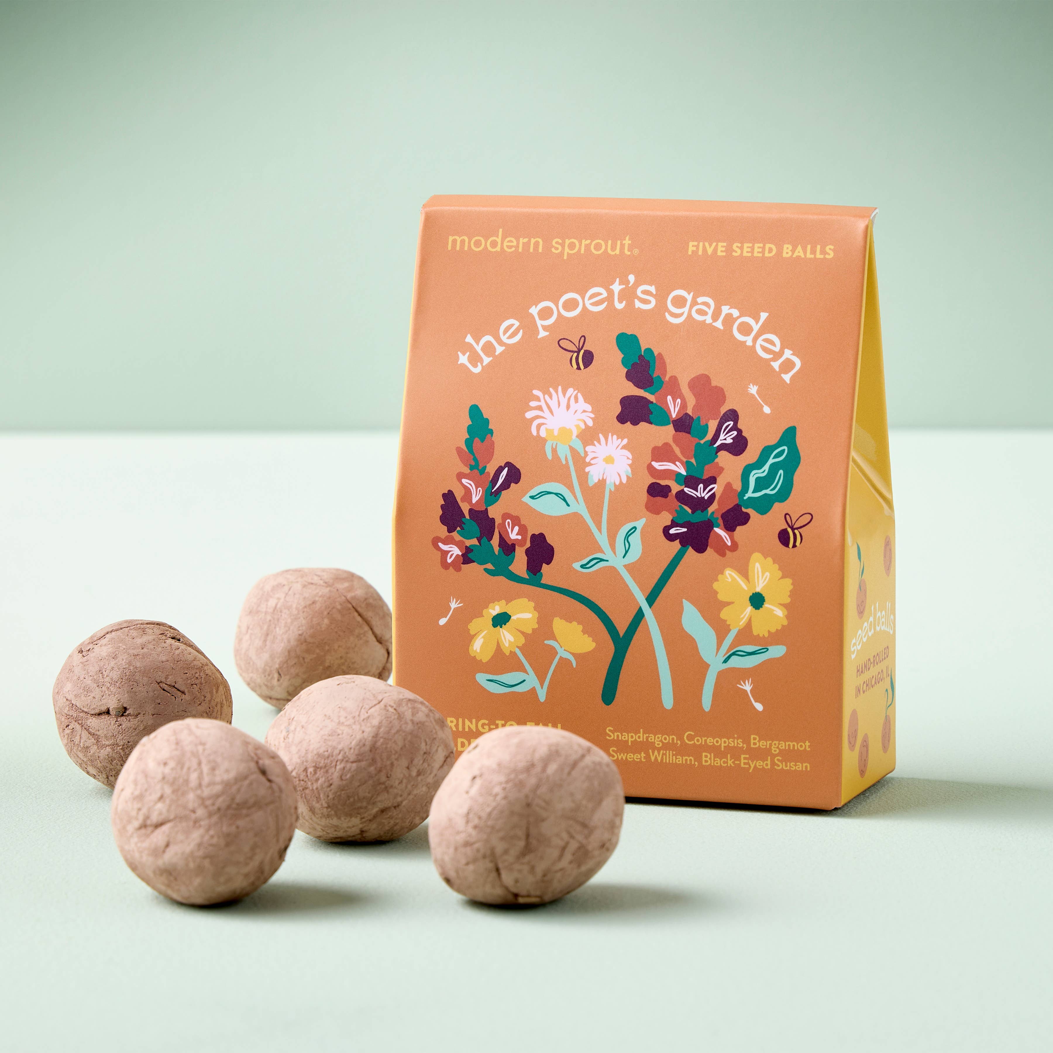 The Poet's Garden seed ball kit from Bespoke Blooms by Modern Sprout, displaying a charming floral design with five handcrafted seed balls against a pastel green background.