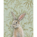 Detailed fine art print of a rabbit in a serene pose, created by Emily Uchytil. The illustration features a soft color palette and botanical elements, suitable for art lovers and nature enthusiasts.
