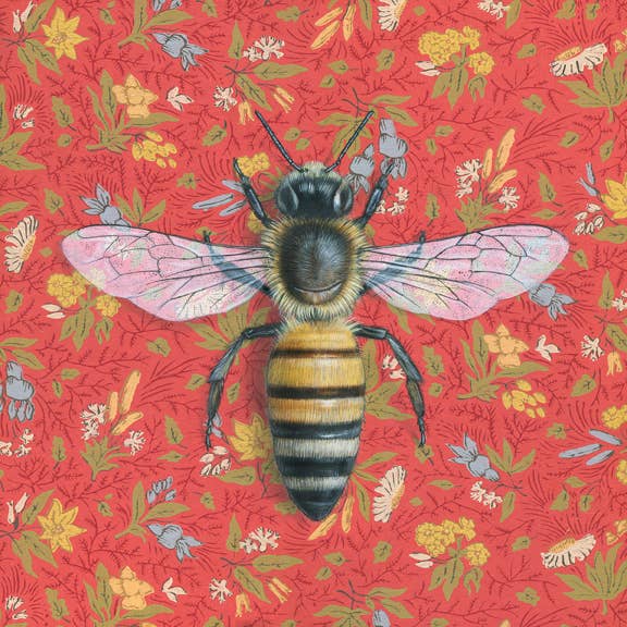 Honeybee Red - Fine Art Print by Emily Uchytil displaying a detailed illustration of a honeybee with pink-tinted wings on a floral patterned red backdrop.